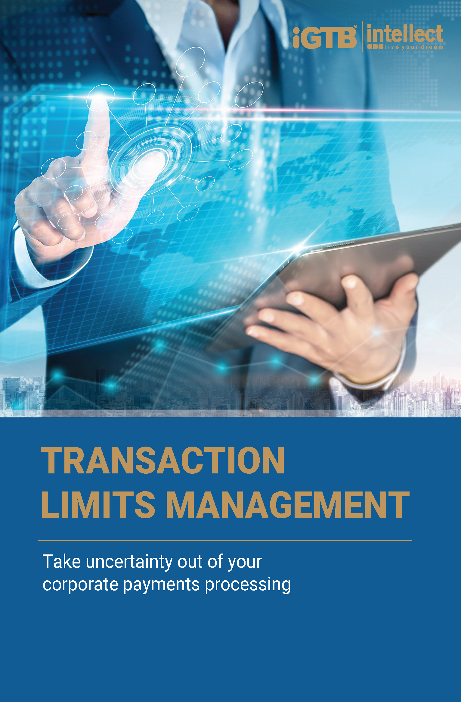 Transaction Limits Management